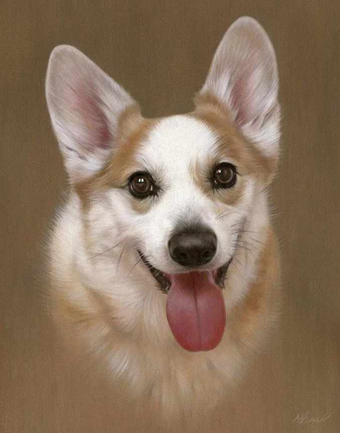 Charming oil portrait of Thomas, a Corgi, capturing his distinctive loyal expression.