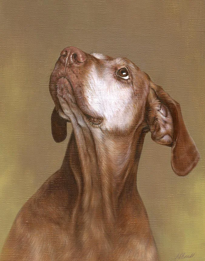 Oil portrait of Cinega, a beautiful dog, captured with vibrant colors by Nicholas Beall.