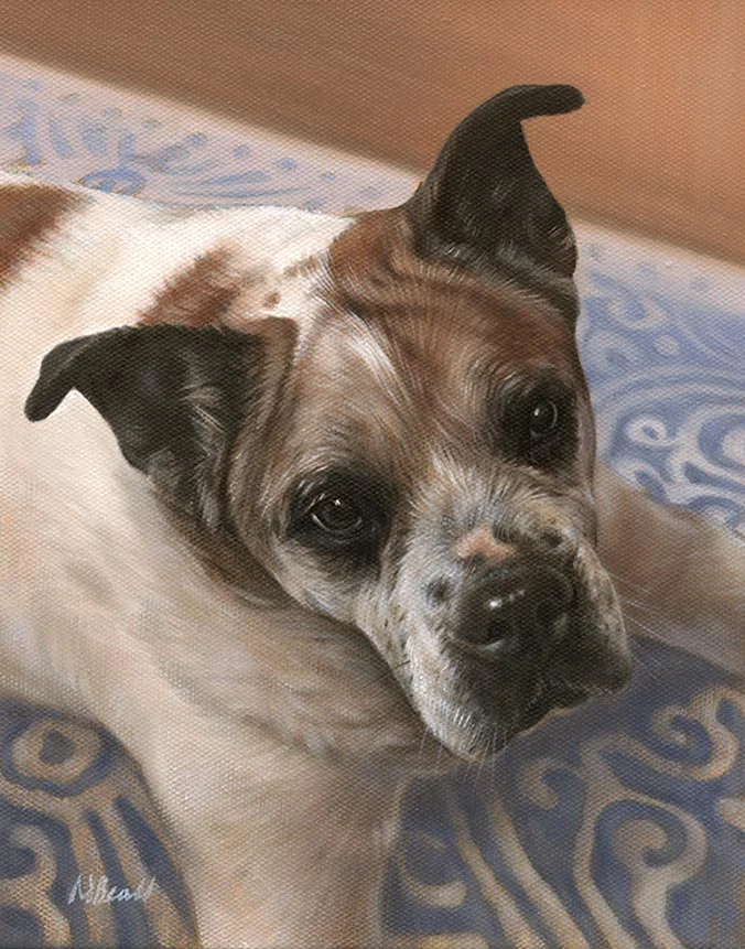 Oil portrait of Mr Bones, a characterful dog, by Nicholas Beall.