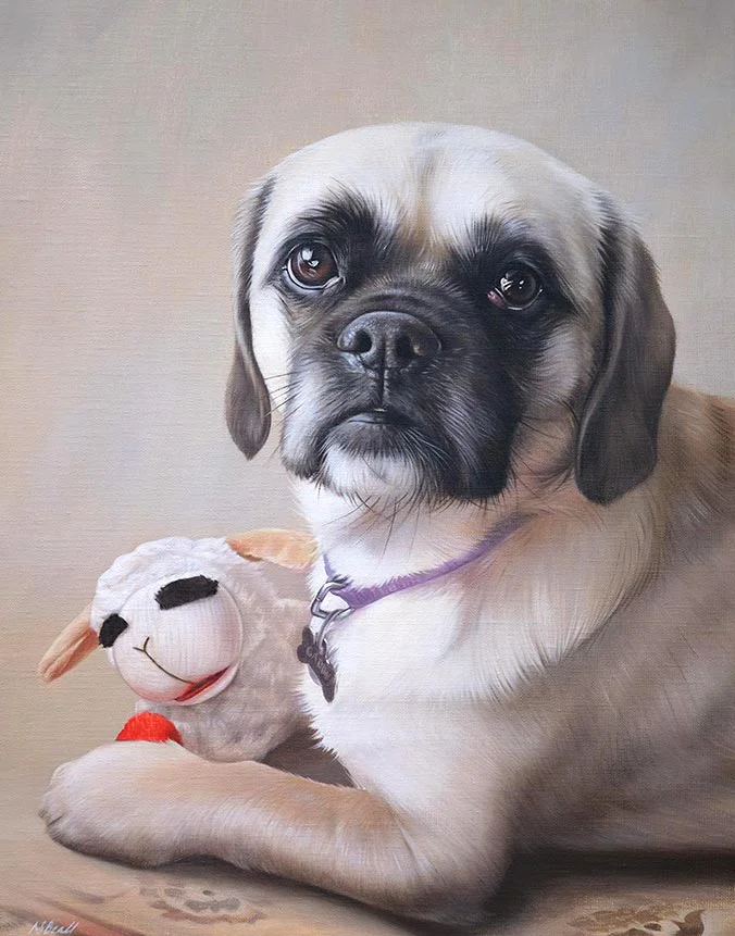 Realistic oil painting of Gabby, a Puggle dog, depicted with her favorite toy.