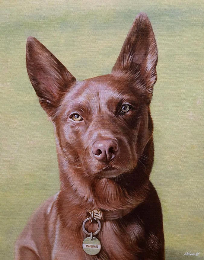 Vibrant oil painting of Marshall, an Australian city working dog, full of character.