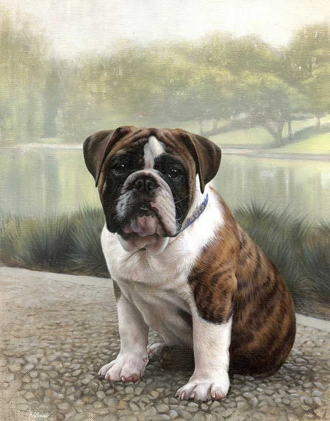 Oil painting of Otis, a charming English Bulldog, by Nicholas Beall.