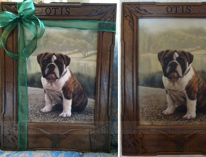 English Bulldog Pet Portraits