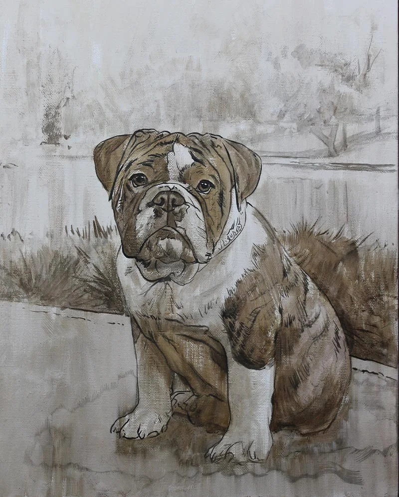 English Bulldog Oil Portrait – Early Layers of painting English Bulldog oil portrait of Otis in its early layers, showing the initial color blocking and form.