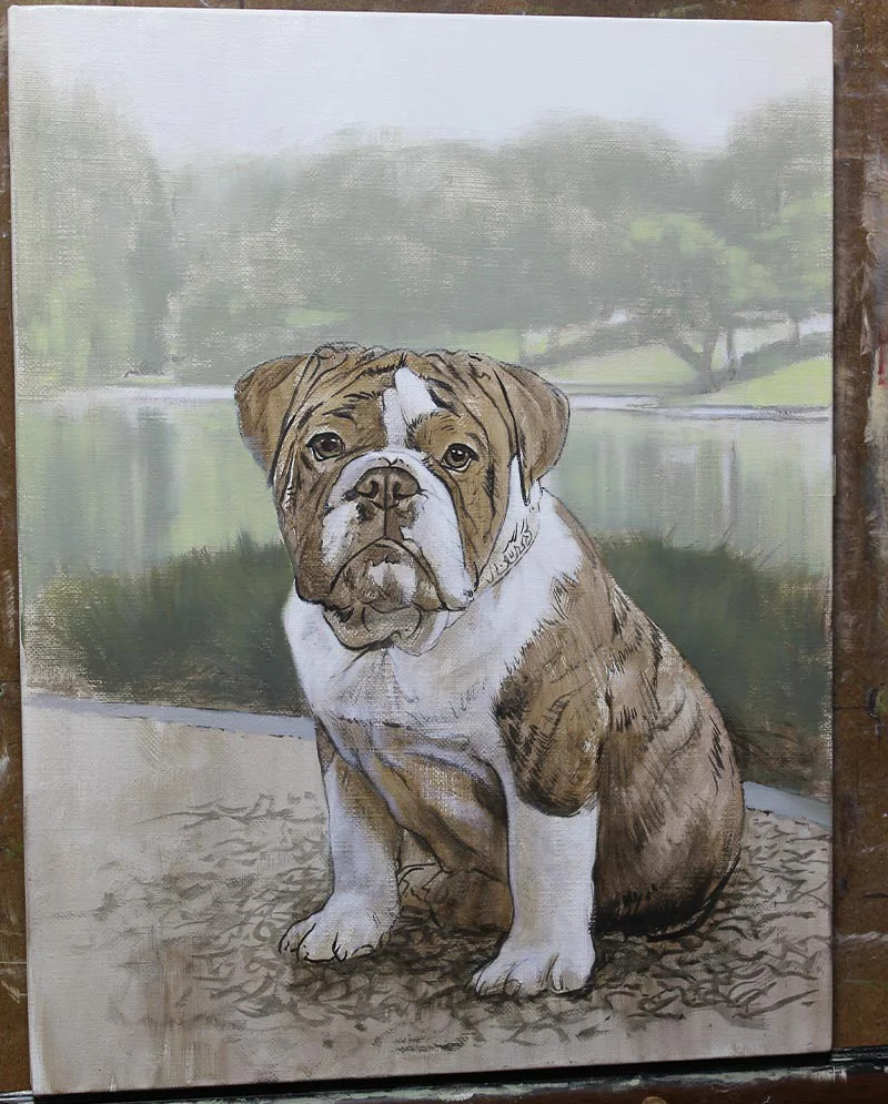 Portrait of English Bulldog in Progress (Mid-stage) Portrait of English Bulldog Otis in progress, with more detailed rendering emerging.