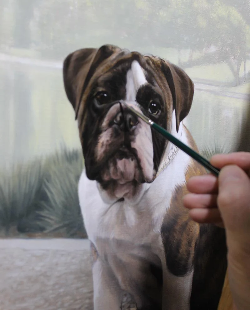 English Bulldog Oil Portrait – Final Layers English Bulldog oil portrait of Otis in its final layers, with highlights and finishing touches.