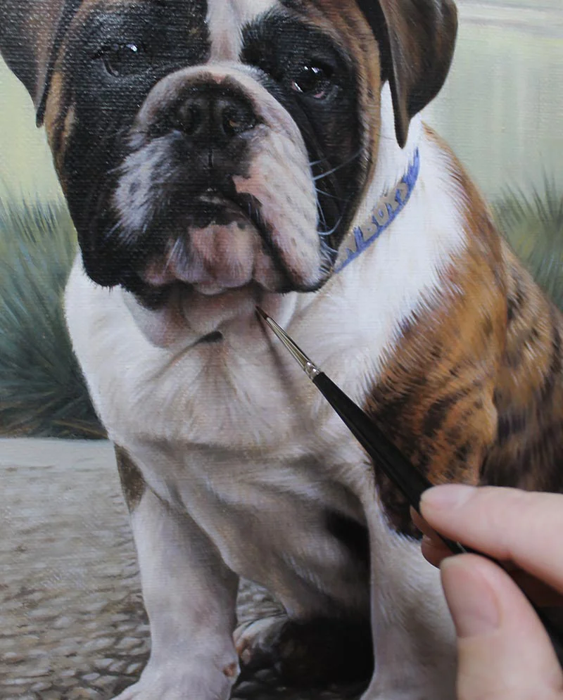Final Touches on Bulldog Painting Final touches being applied to the Bulldog painting of Otis, showing the artist's attention to detail.