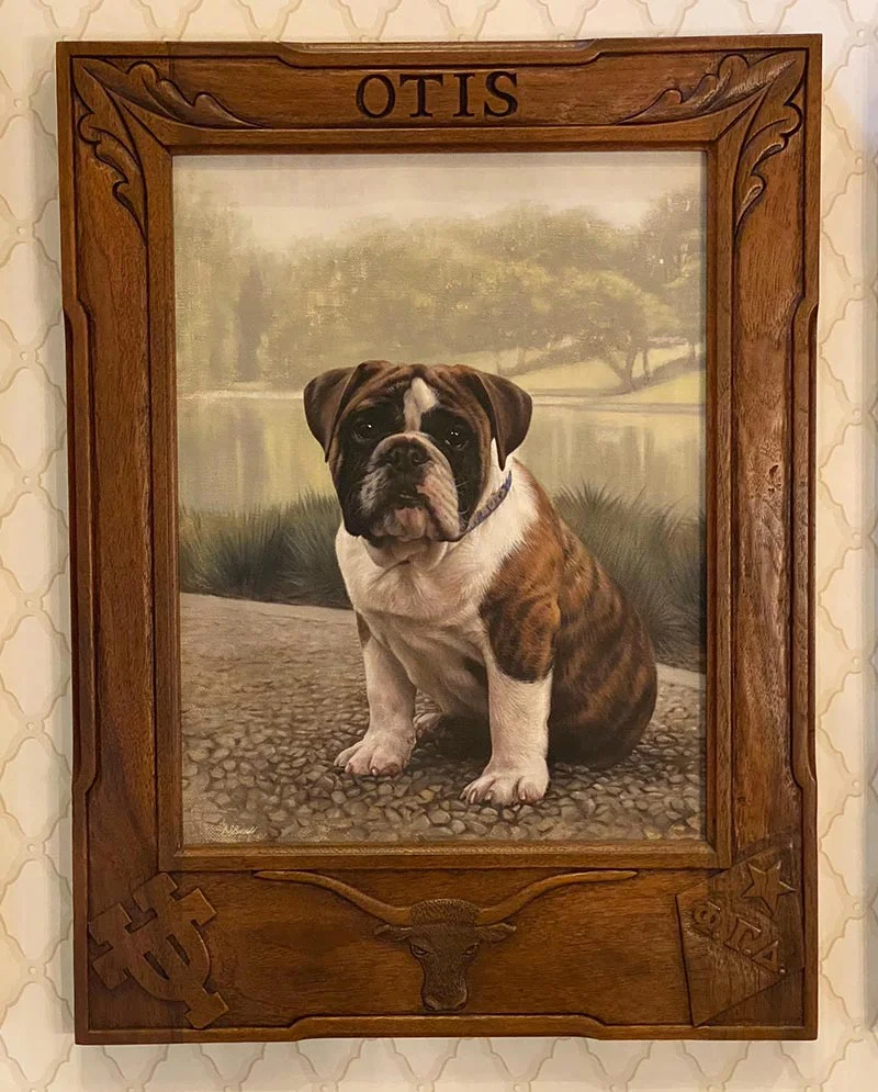 English Bulldog Oil Painting – Displayed in Stairwell English Bulldog oil painting of Otis displayed prominently in a stairwell, part of a larger portrait collection.
