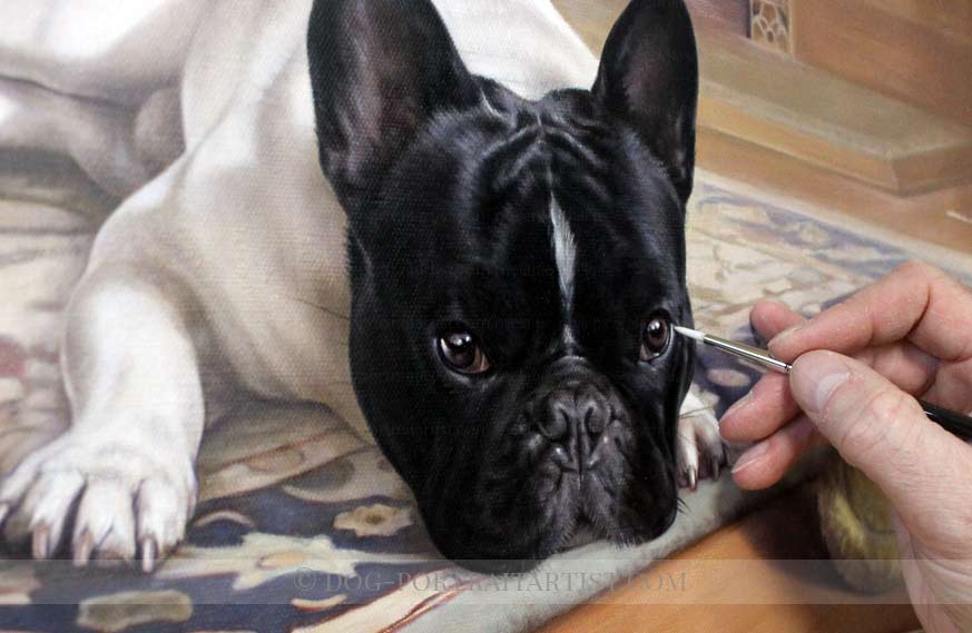 Dog Portraits - French Bull Dog Portraits