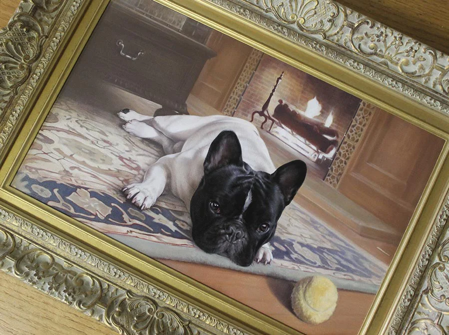 Framed French Bulldog Oil Portrait Framed French Bulldog oil portrait of Agarn, ready for display.