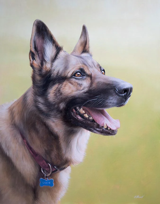 Oil painting of Lucie, a regal German Shepherd dog, by Nicholas Beall.