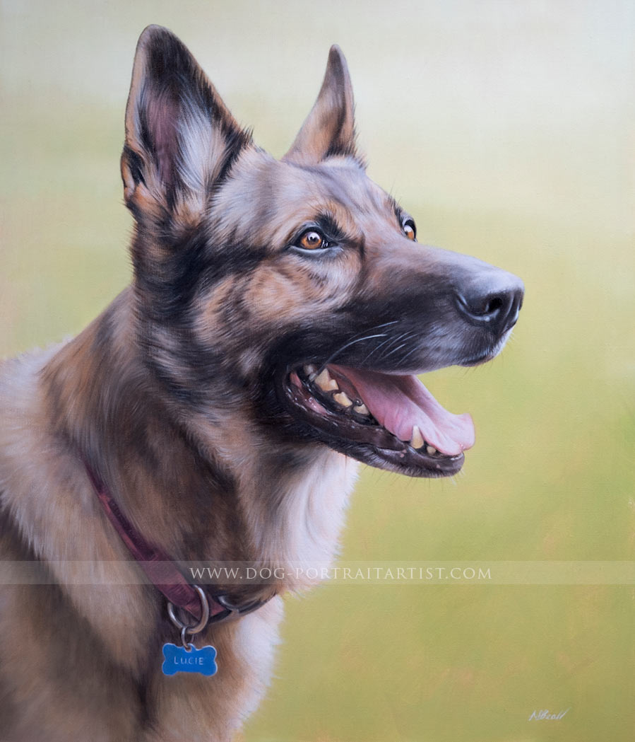 German Shepherd Dog Portrait