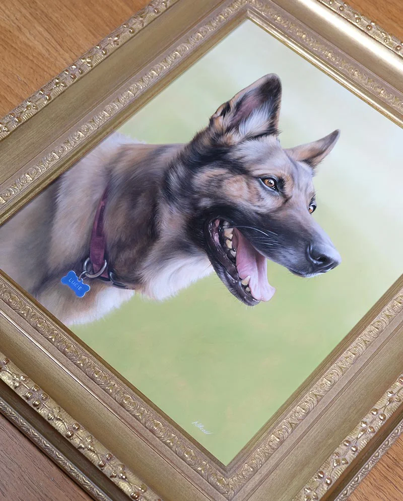 Framed German Shepherd Portrait in Oils Framed German Shepherd portrait of Lucie in oils, displayed elegantly.