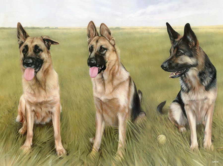 Oil painting of Kali, Grace, and Zarah, three impressive German Shepherd dogs, by Nicholas Beall.