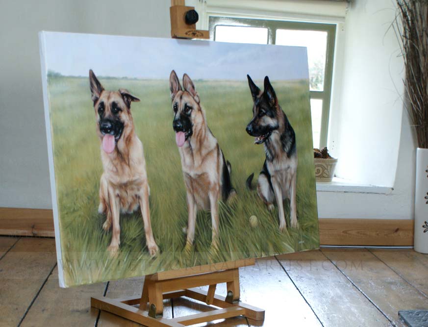 german shepherd pet portraits on the mini easel