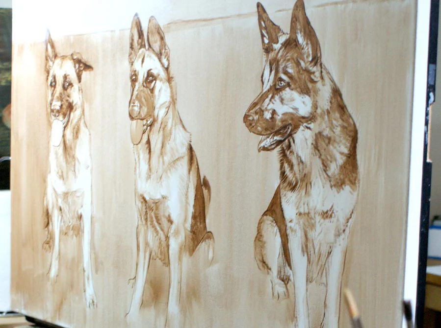 German Shepherd Trio Portrait – Work in Progress German Shepherd trio portrait, showing early work in progress with initial forms and colors.