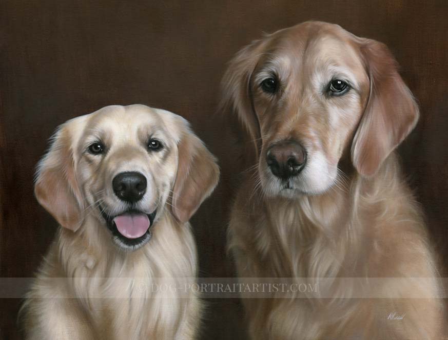 Golden Retriever Pet Portraits