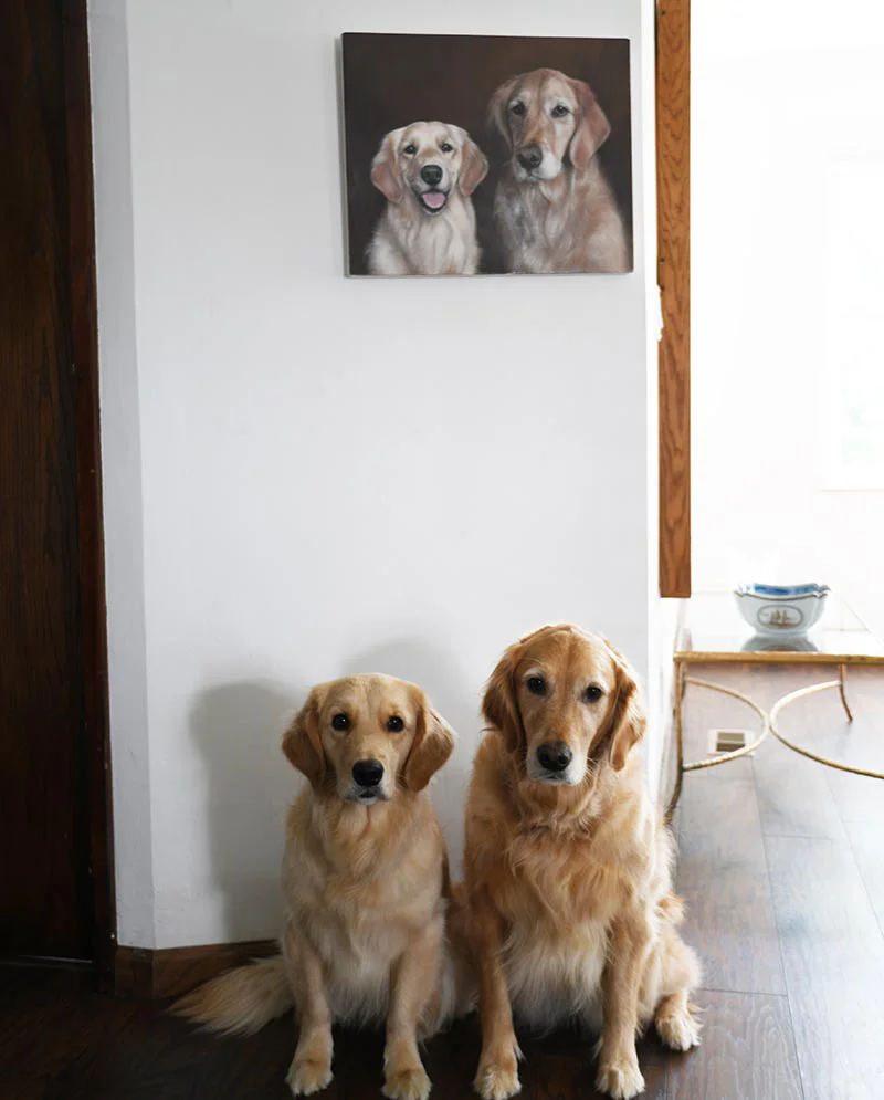 Framed Golden Retriever Painting in Interior Setting Framed Golden Retriever painting in an interior setting, showing the finished look.