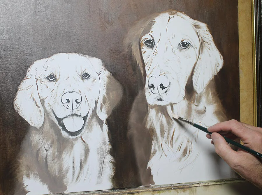 Golden Retriever Portrait – Early Painting Stage Golden Retriever portrait showing an early painting stage with initial colors and forms.