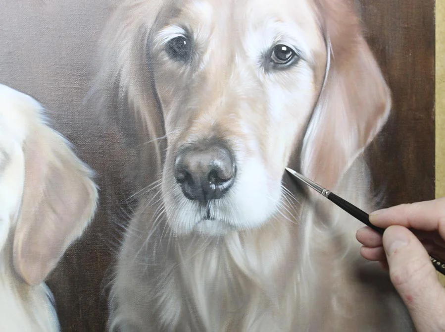 Two Golden Retrievers in Oils – Progress Shot Two Golden Retrievers in oils, showing a progress shot with increasing detail.