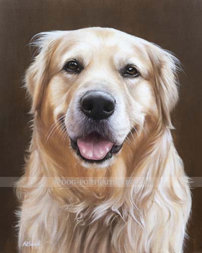 Golden Retriever Portrait