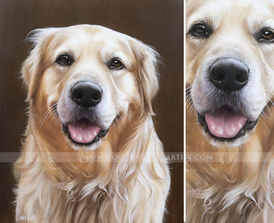 Golden Retriever Portrait