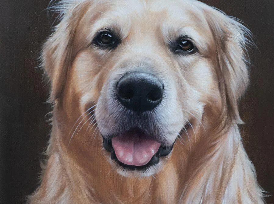 Oil Painting – Golden Retriever Head Portrait Oil painting of H, a Golden Retriever head portrait, in progress.