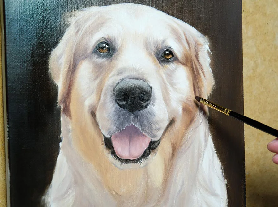Golden Retriever Head Study in Oils Golden Retriever head study in oils, showcasing early layers and forms.
