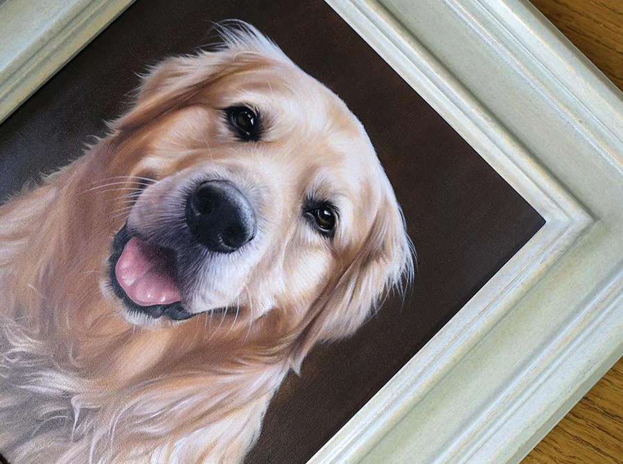 Framed Golden Retriever Head Study Framed Golden Retriever head study of H, presented clearly.