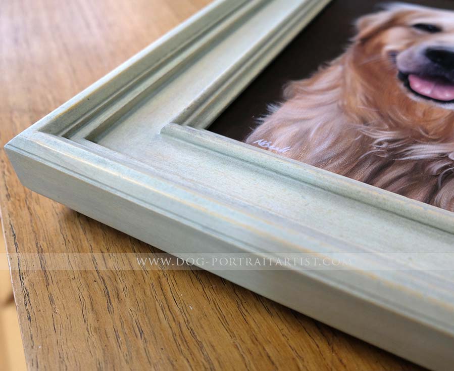 Golden Retriever Portrait