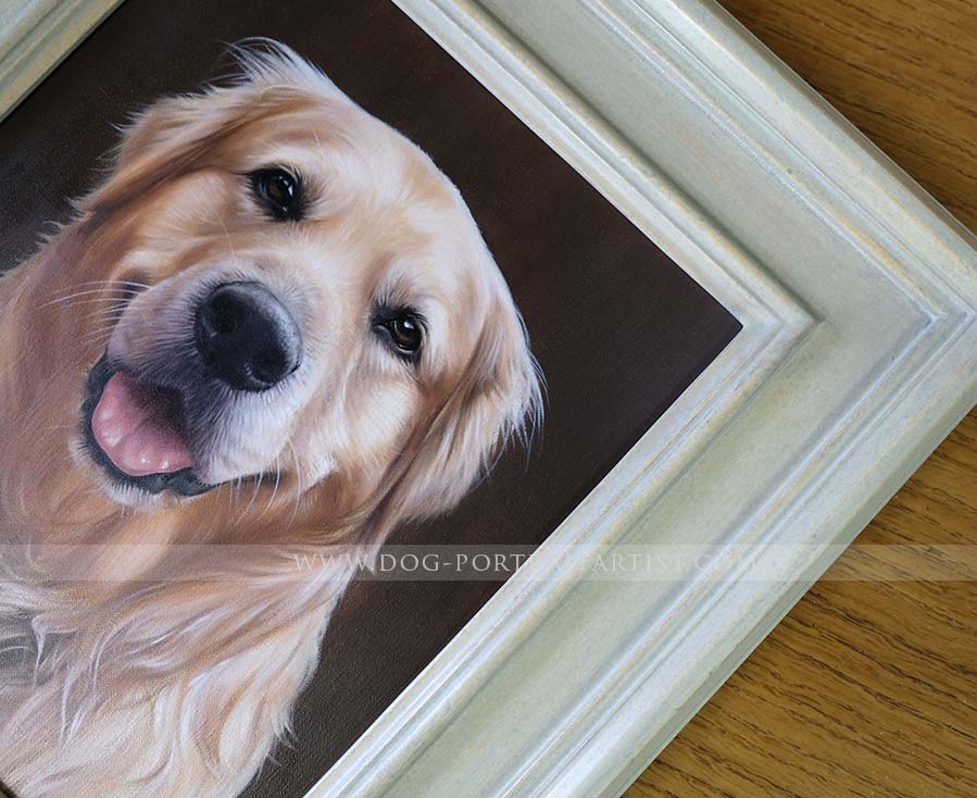 Golden Retriever Portrait