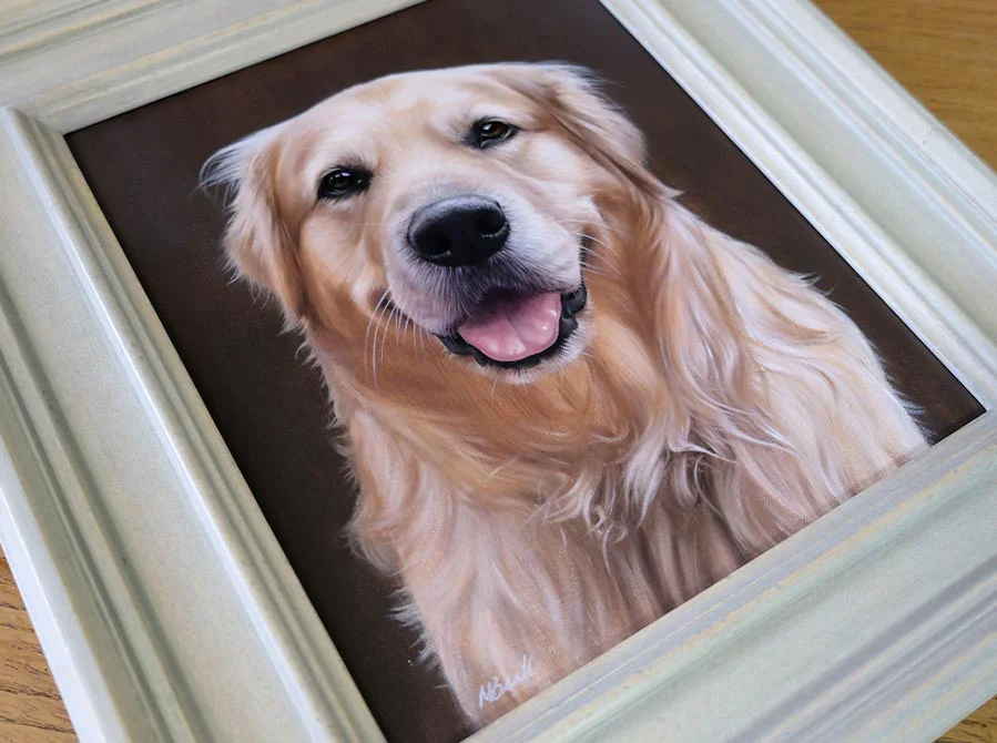Golden Retriever Head Study – Framed and Hung Golden Retriever head study of H, framed and hung on a wall.