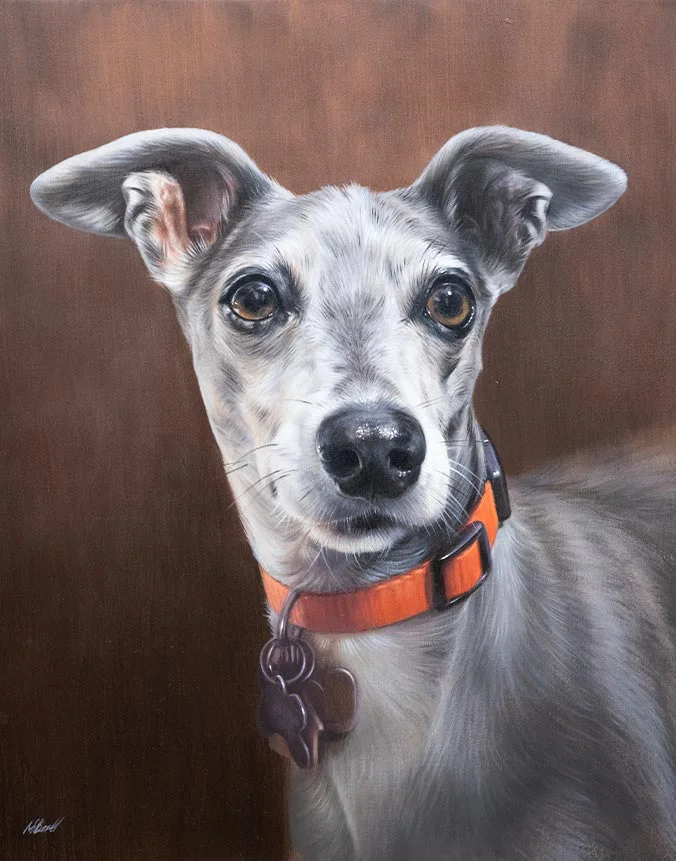 Oil painting of Spyder, a sleek Italian Greyhound dog, captured in a graceful pose, by Nicholas Beall.