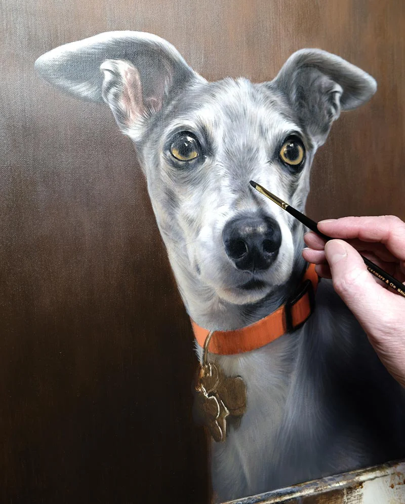 Italian Greyhound Oil Painting - Detailing Italian Greyhound oil painting of Spyder during the detailing stage.
