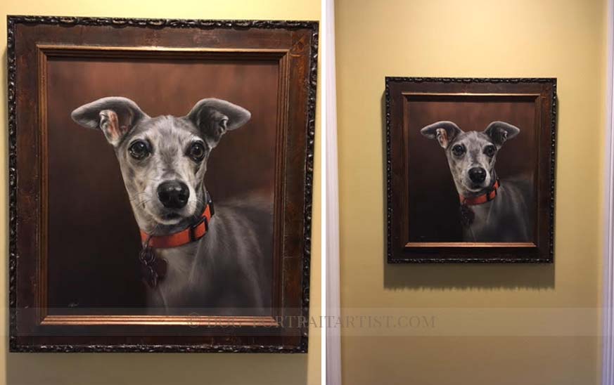 Italian Greyhound Pet Portraits