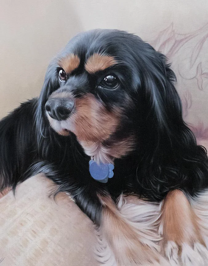 Oil painting of Boone, a charming King Charles Spaniel dog, with his characteristic soft fur, by Nicholas Beall.