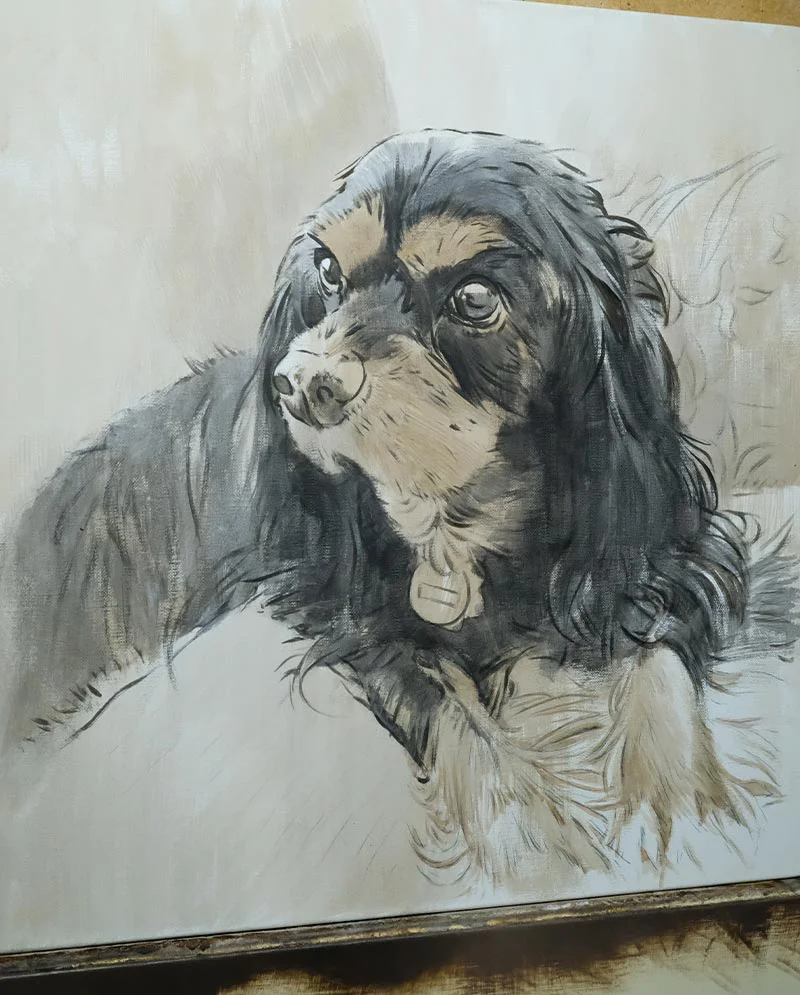 King Charles Spaniel Portrait - Sketch in Oils King Charles Spaniel Portrait - Sketch in Oils