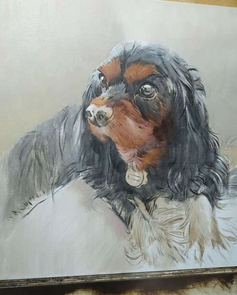 Early Stages of King Charles Spaniel Oil Portrait Early Stages of King Charles Spaniel Oil Portrait