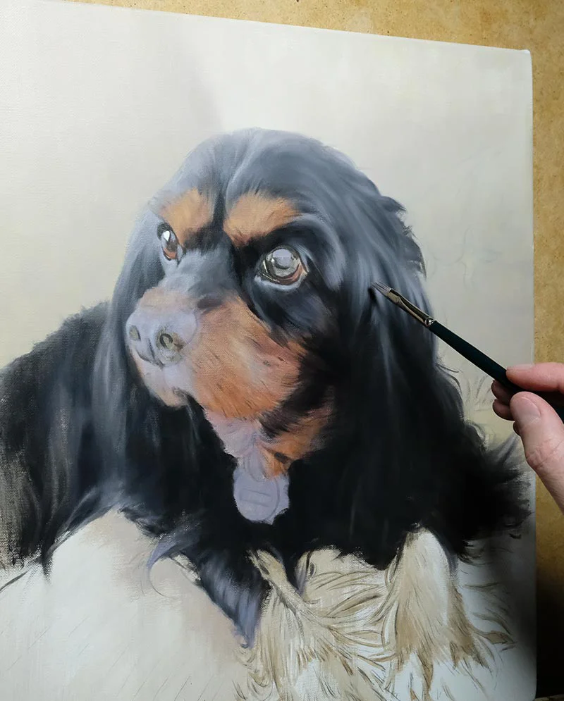 In Progress Spaniel Portrait - Oils In Progress Spaniel Portrait - Oils