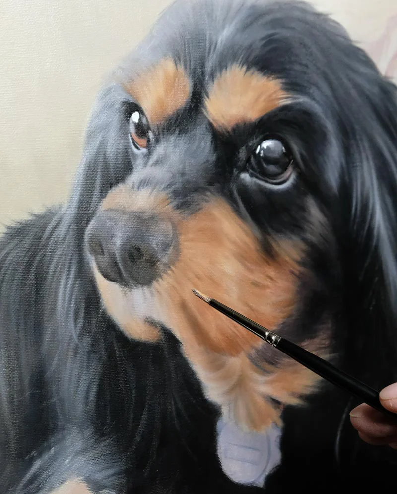 Detailing in King Charles Spaniel Oil Portrait Detailing in King Charles Spaniel Oil Portrait