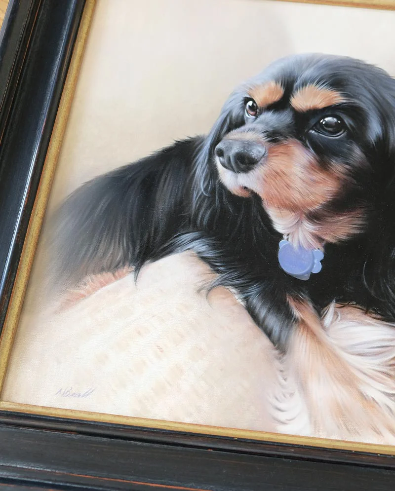 Framed King Charles Spaniel Portrait Framed King Charles Spaniel Portrait