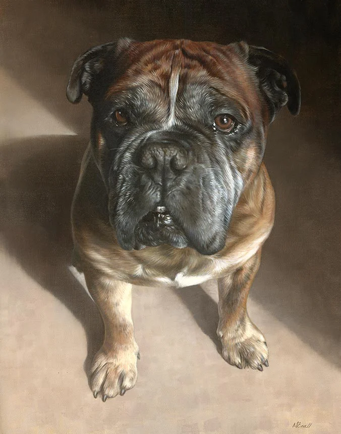 Oil Pet Portrait of Boomer Completed oil portrait of Boomer, a dog, with a soft, warm background.