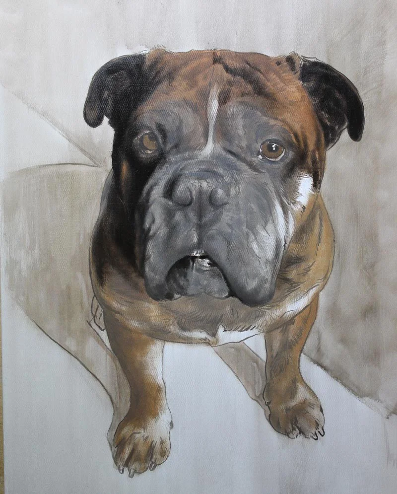 Portrait Painting of Dog in Oils Oil portrait painting of Boomer the dog in progress.