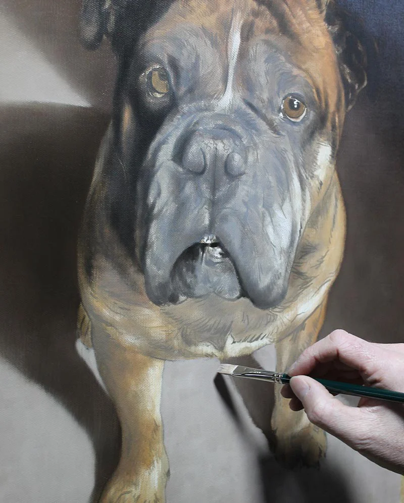Dog Portrait Final Progress Detail Boomer’s dog portrait showing final progress details.