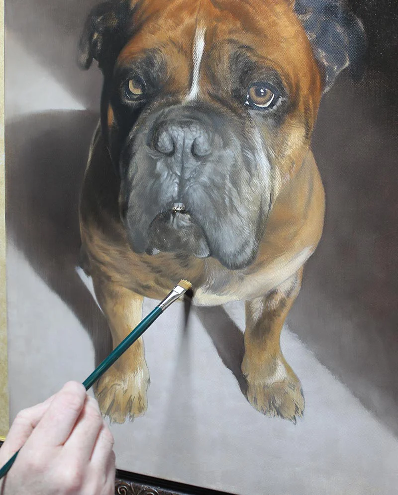 Final Layers of Dog Oil Painting Final layers applied to Boomer’s dog oil painting.
