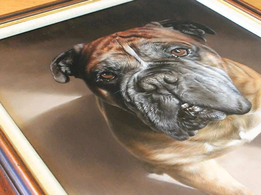Framed Dog Portrait in Oils Framed dog portrait of Boomer in oils, showing fine detail.