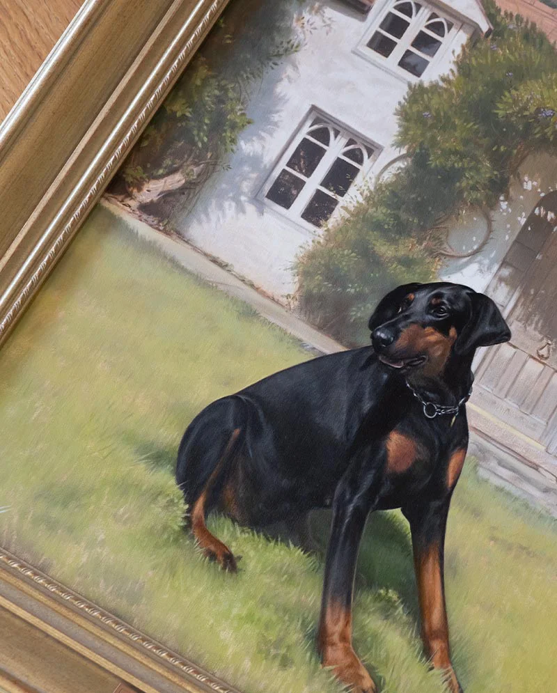 Framed Dog Portrait in Front of Cottage The completed oil painting of Stella the Doberman, beautifully framed and displayed, showing her in front of the wisteria-covered cottage.