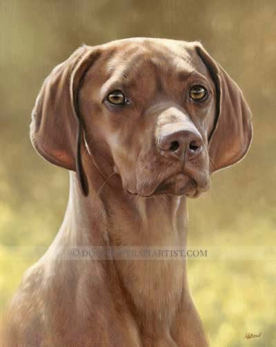 Dog Portraits Gallery - Oil Pet Portraits