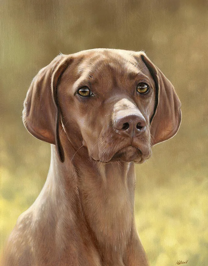 Oil painting of Hattie, a graceful Hungarian Vizsla dog, capturing her distinctive reddish-gold coat, by Nicholas Beall.