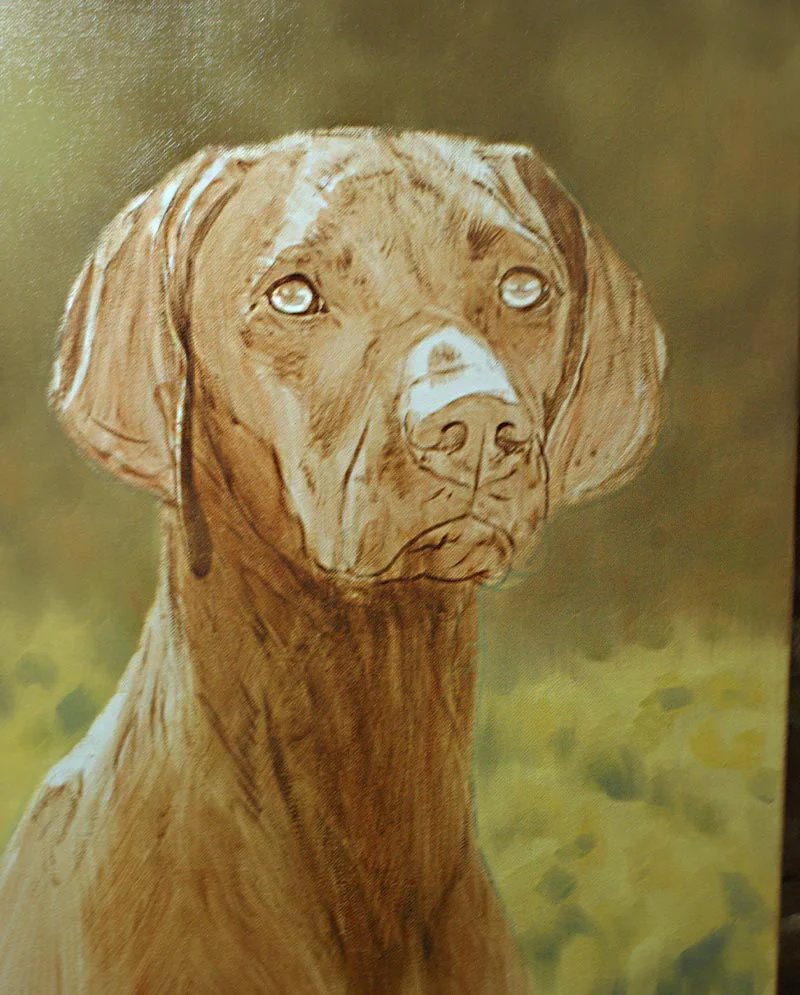 Hungarian Vizsla Portrait - Underpainting Stage Hungarian Vizsla portrait of Hattie in the underpainting stage.